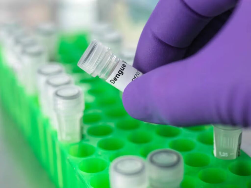 vacuna dengue