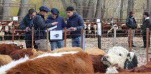 Invernada-del-Norte-Neuquino