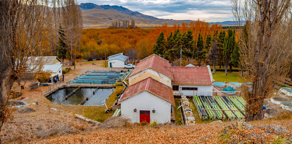Junin-de-los-Andes_4