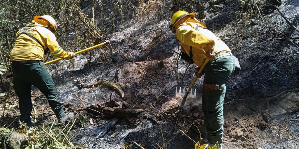 combatientes-incendios