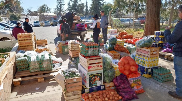 Alimentos_Hogares