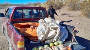 Operativo-en-Picun-Leufu-y-Piedra-del-aguila