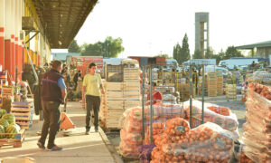 Mercado-Concentrador