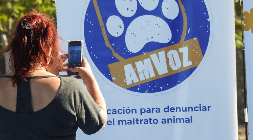 amvoz