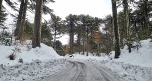 Paso-Mamuil-Malal