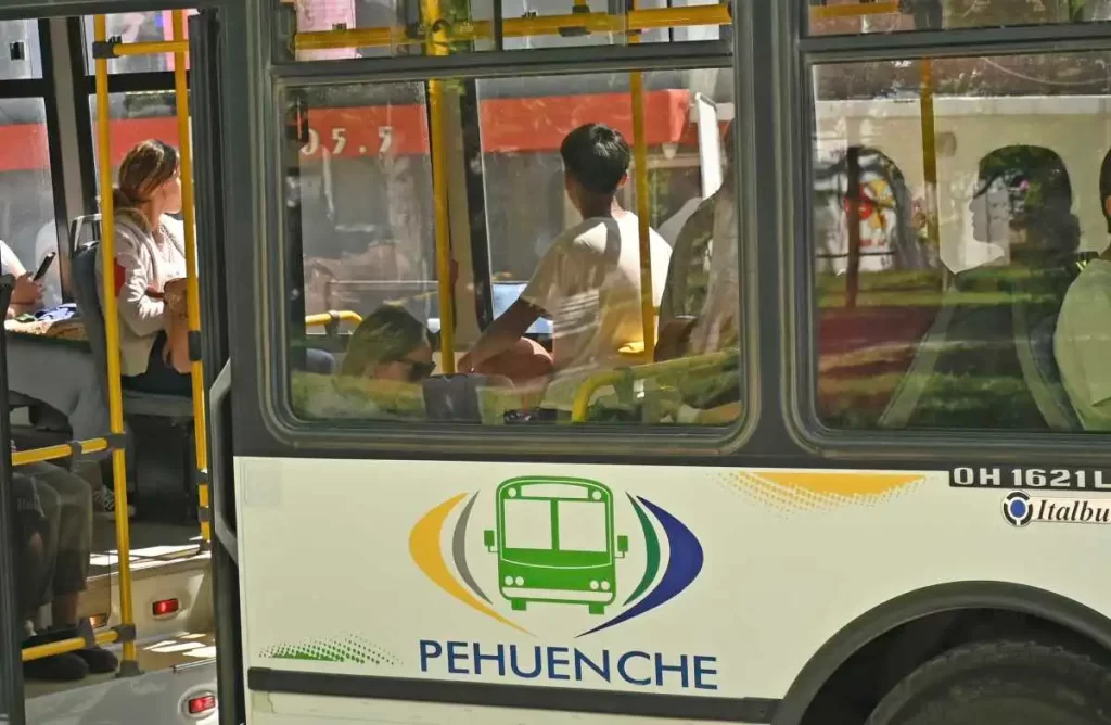 Pehuenche-colectivo