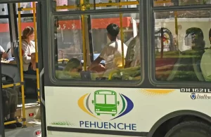 Pehuenche-colectivo