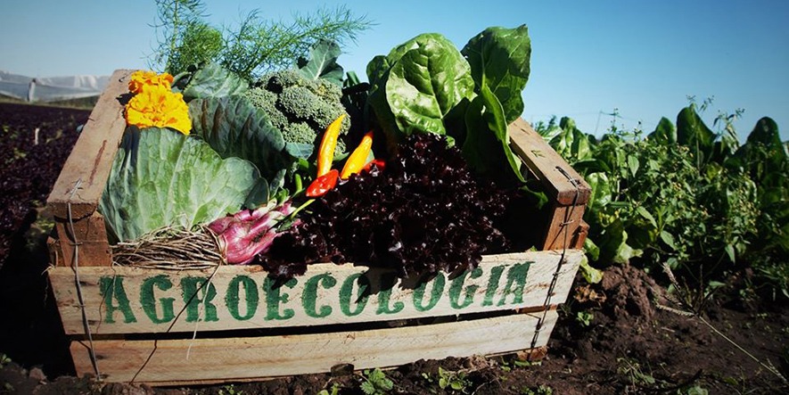 agroalimentos