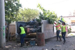 basura-acumulada