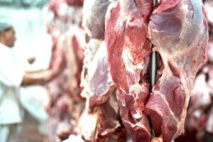 carne