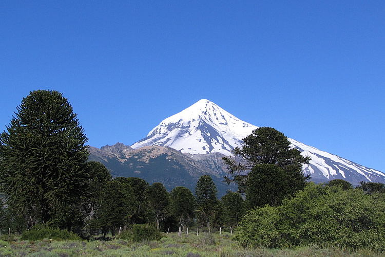lanin