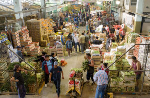 Neuquen. Mercaddo Concentrador.