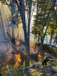 incendio-forestal