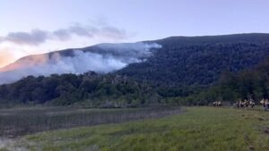 incendio-forestal