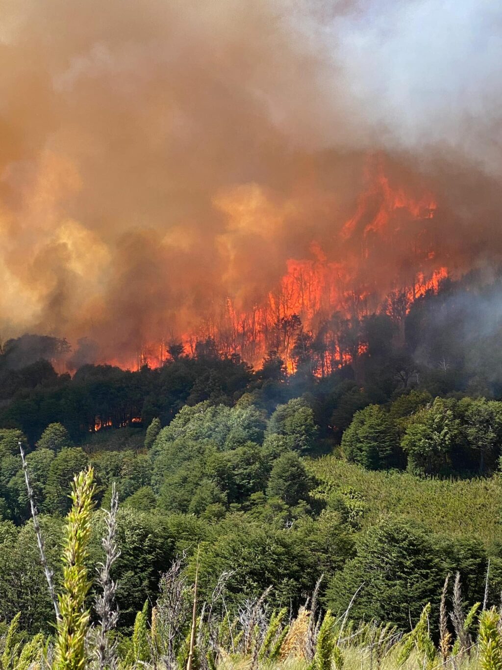 incendio
