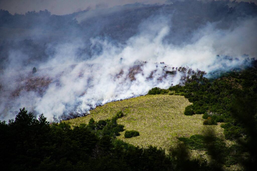 incendio-villa-magdalena