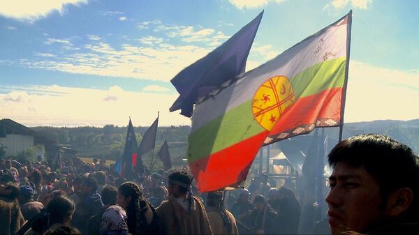mapuches