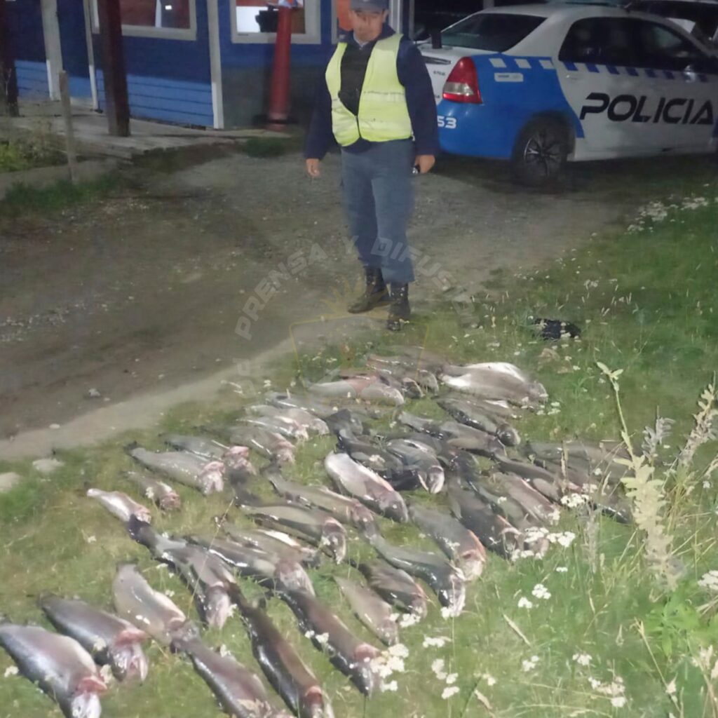 policiales