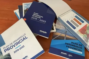 informe-de-gestion