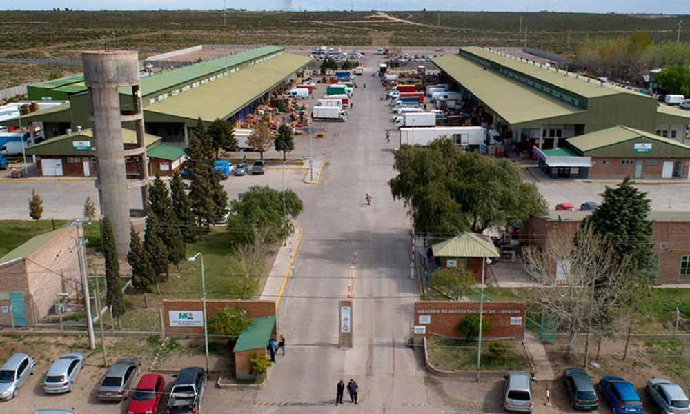 mercado-concentrador