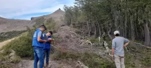 tala-ilegal