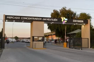 Mercado-Concentrador