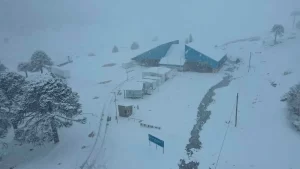 Paso-Pino-Hachado-nieve