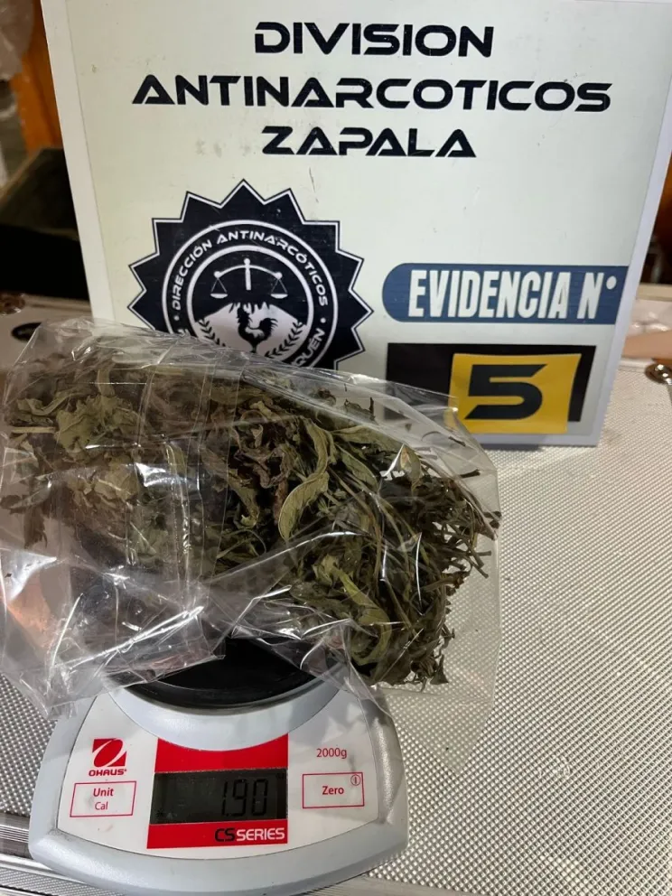 policiales