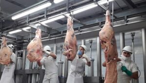 carne-con-hueso