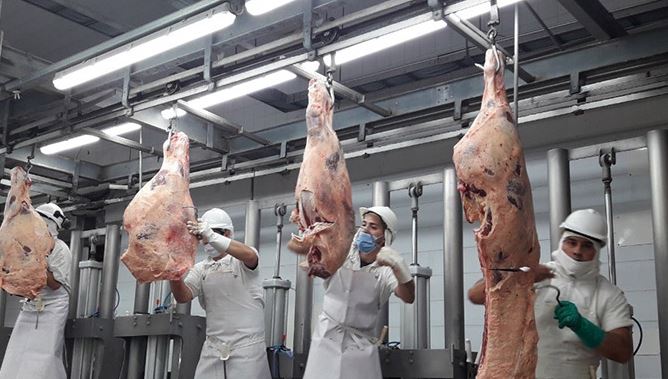 carne-con-hueso