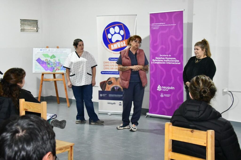 e84be87d-89b1-4116-a5ac-5cf255420af6