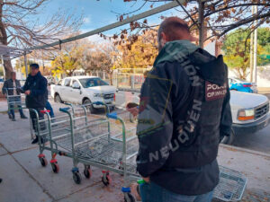 policiales