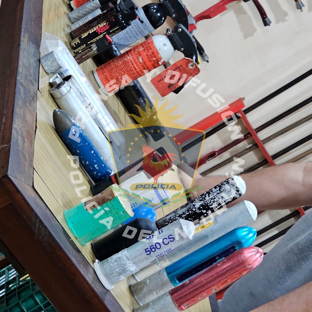 policiales