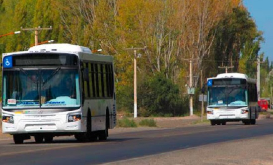 trasporte-publico-centenario
