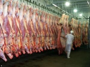 carne