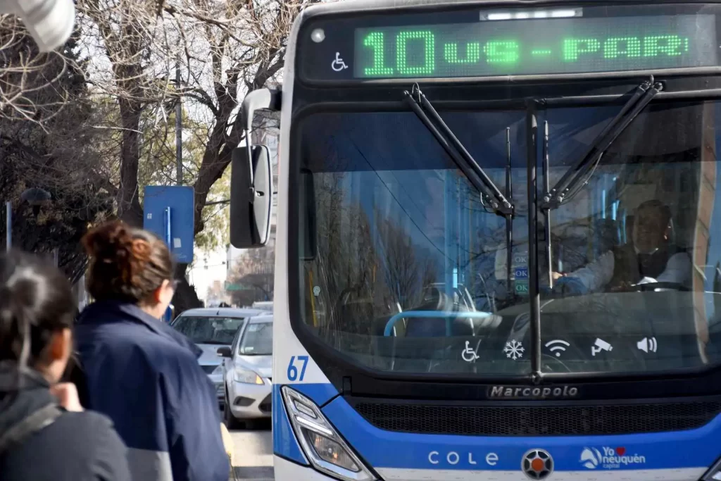 colectivos-cole