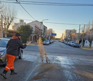 hielo-sal