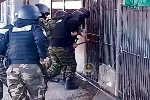 policiales