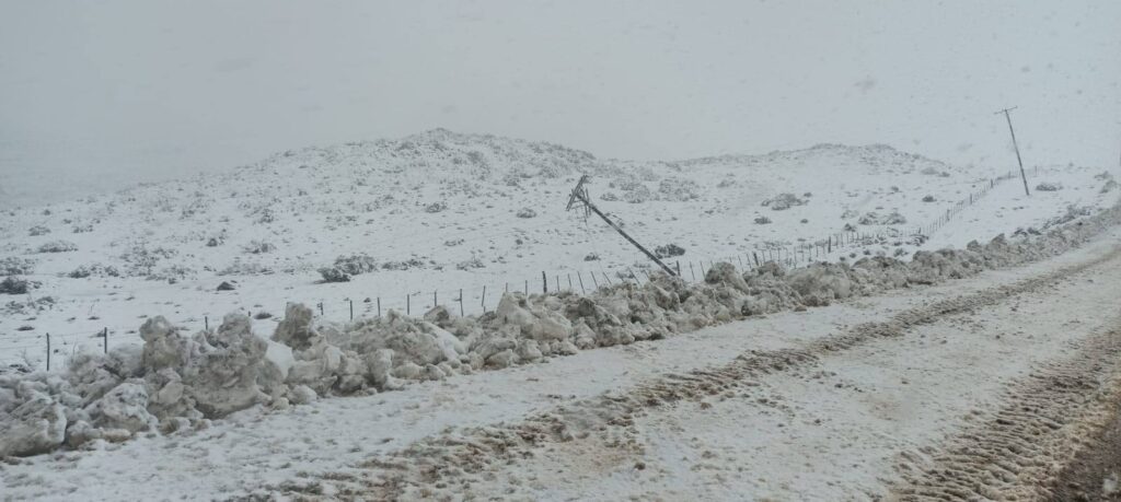 temporal-nieve