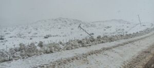 temporal-nieve