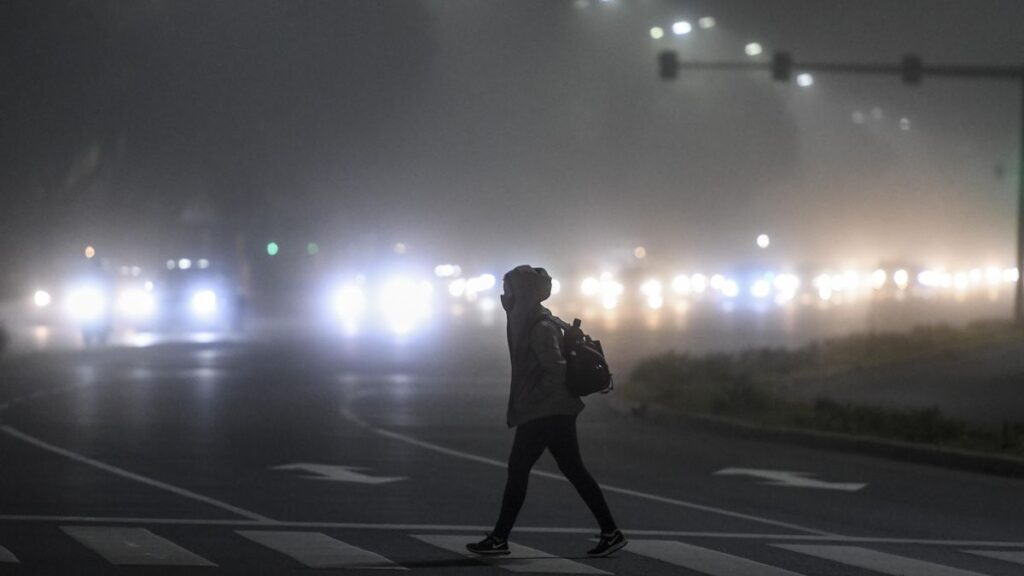 niebla