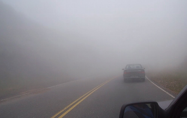 niebla