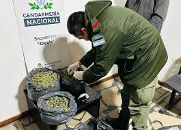 policiales