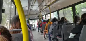 colectivo