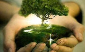 dia-del-arbol