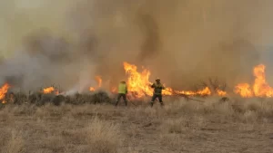 incendio-pastizales-centenario