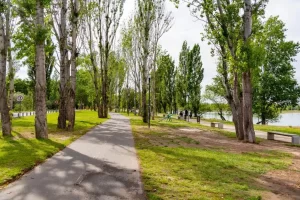 neuquen