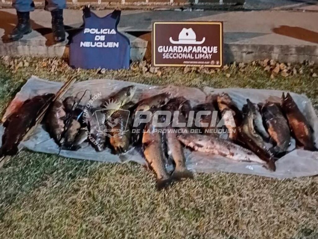 policial