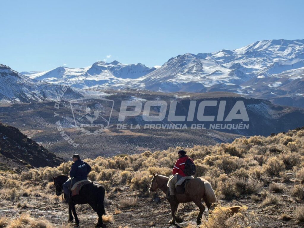 policiales