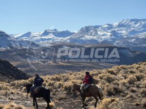 policiales
